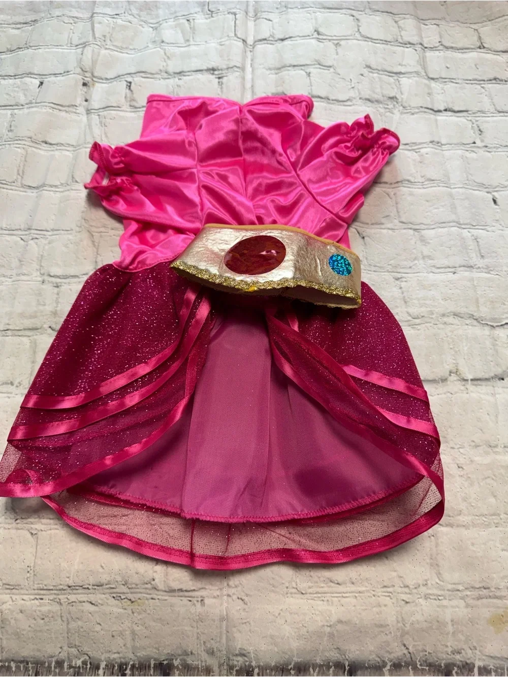 Pet Warrior Dog Princess Costume Dress with Emblem. Halloween costume.
